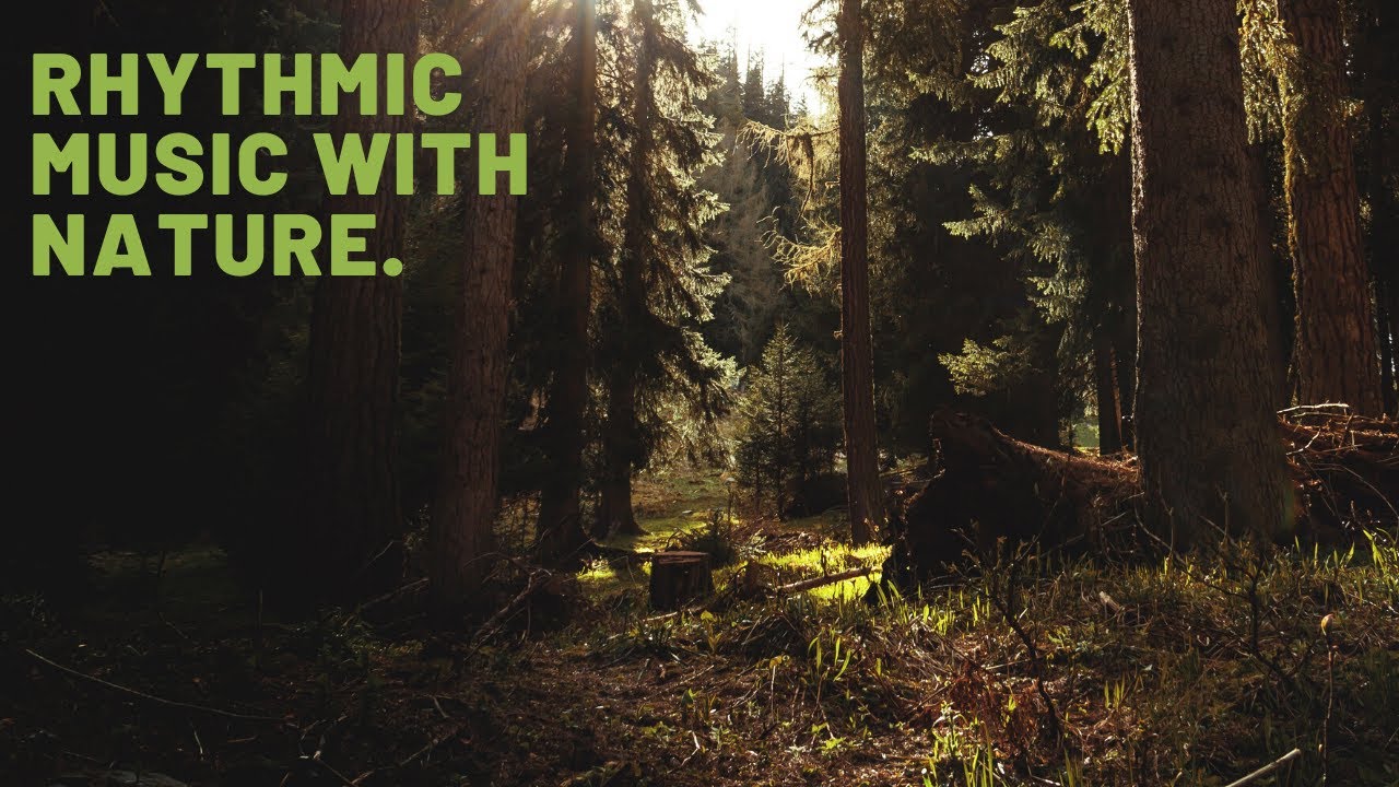 Rhythmic music with nature.Ритмичная музыка с природой. - YouTube