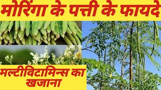 मोरिंगा के पत्ते के फायदे|moringa nutrition facts|Tips