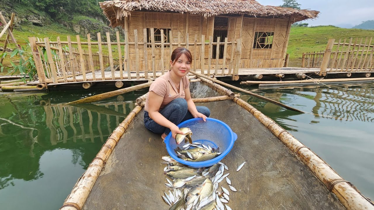 Girl uses electric ball to trap giant fish in the night, Planting ...