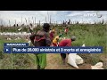 Madagascar : plus de 28 000 sinistrés recensés après le passage du cyclone tropical Fytia