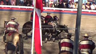 Rodeo Criadores Salamanca Serie Campeones 4