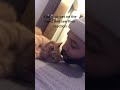 Cat Hits Owner As He Kisses Them On Their Face - 1175380