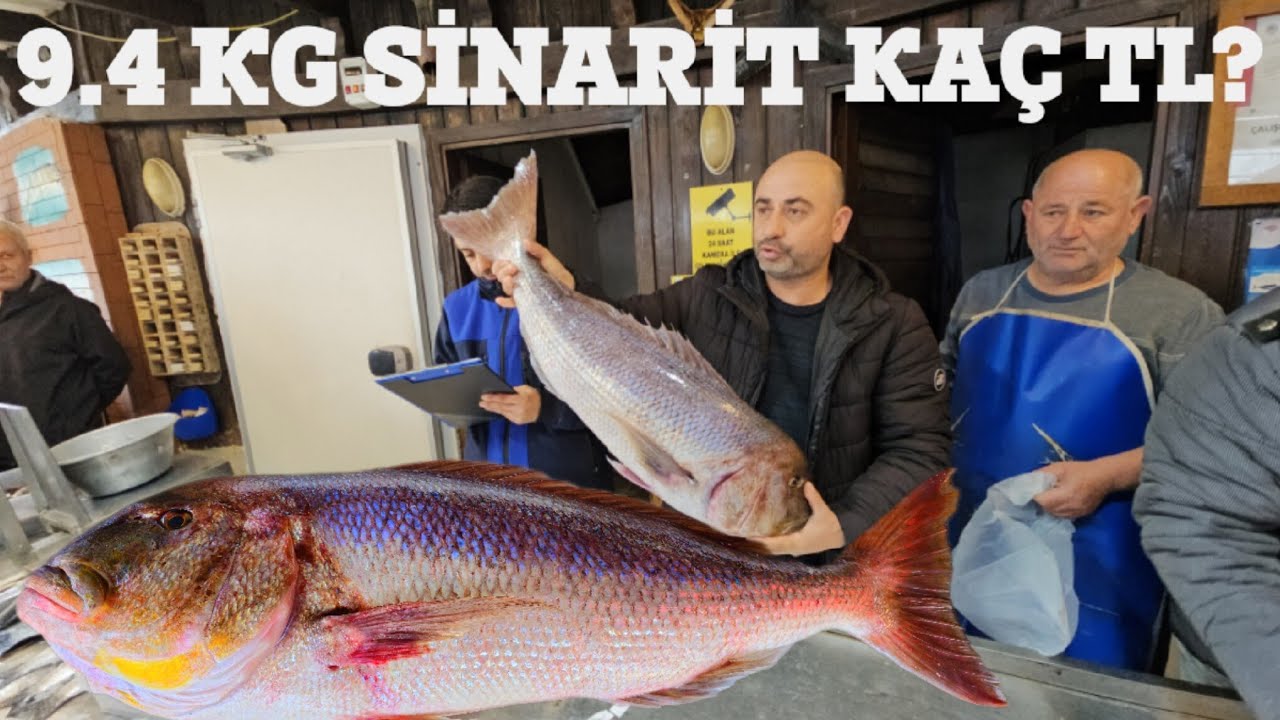 BALIK MEZATI (MORDOĞAN)15.01.2026 GENİŞ EKRAN