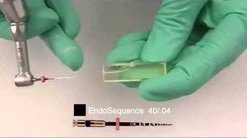 Shaping Obturation Technique