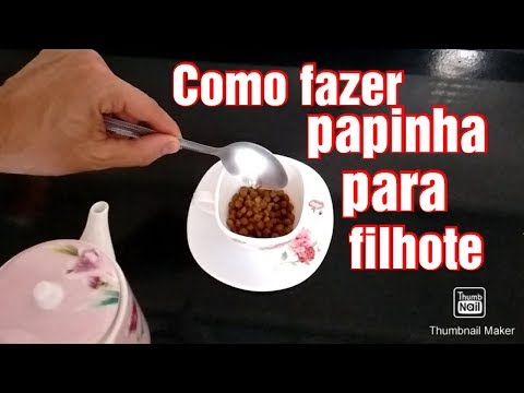 COMO FAZER PAPINHA PARA FILHOTES