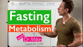 Fasting - What does it do to your body?