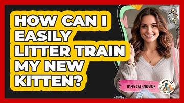 How Can I Easily Litter Train My New Kitten? - Happy Cat Handbook