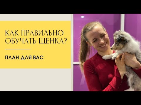 Как правильно обучать