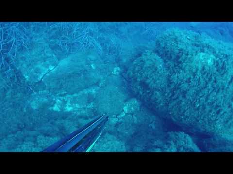 PESCASUB Tana