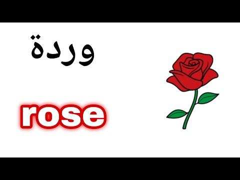 نطق كلمة وردة  باللغة الانجليزية