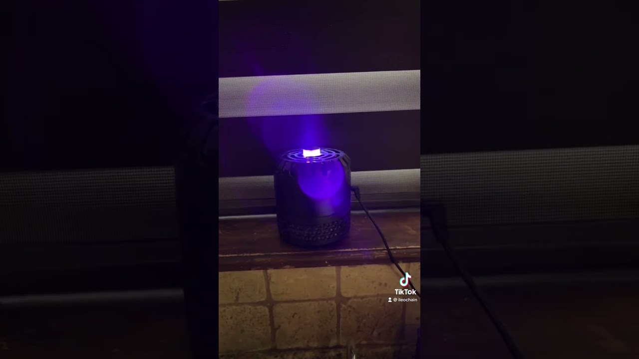 DynaTrap Indoor Machine! Not sponsored just trying to help! 