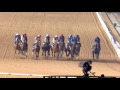 DWCC Meydan Racecourse 14-1-16, Race 6 Mina Al Hamriya DP World