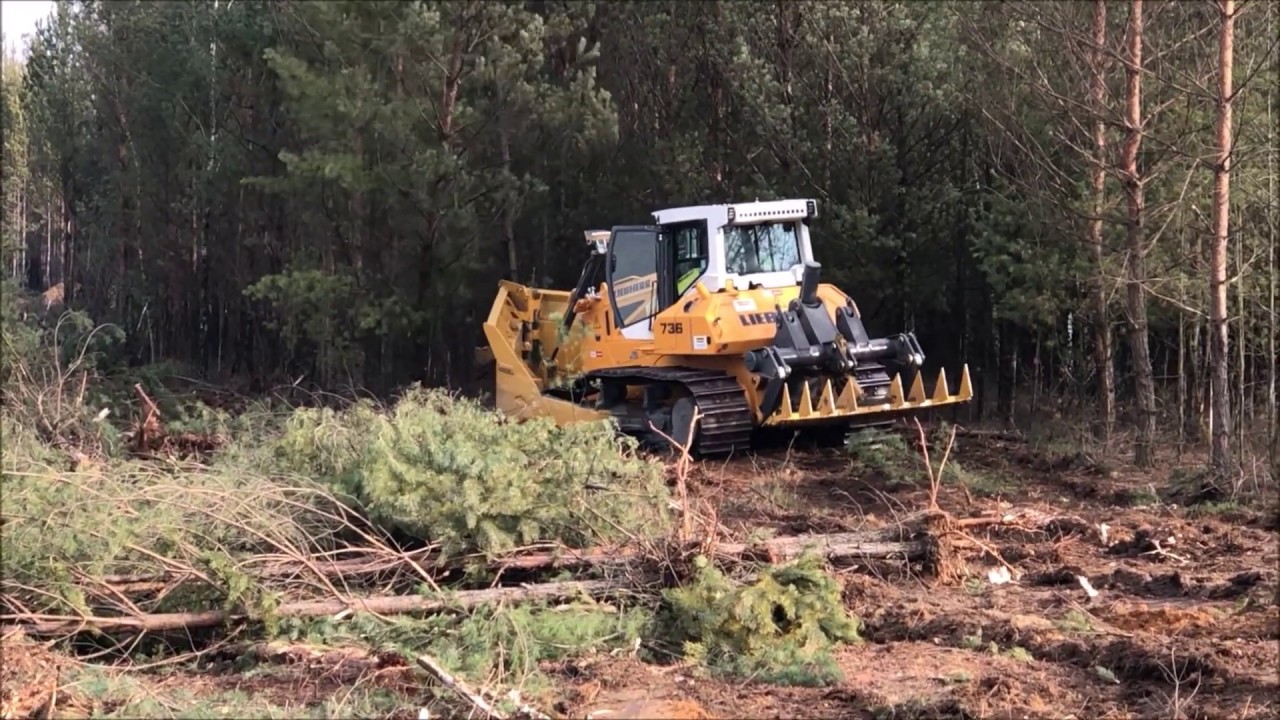 GALLE GERMANY SHEAR AND RAKE YouTube