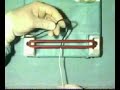 Onehanded reef knot  cpsp pakistan