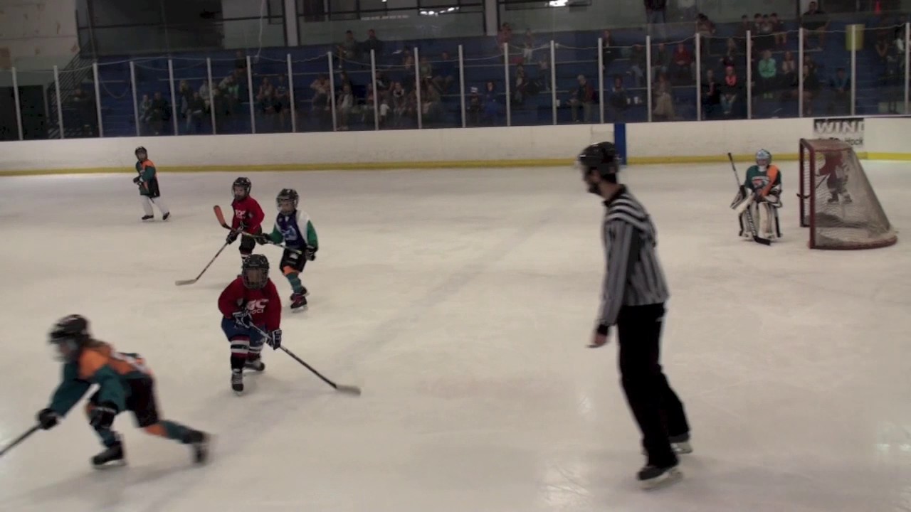 Orlando Hammerheads Mites Youth Ice Hockey Highlights vs GC FLames at