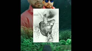 Akhilesh Arya Dj Song