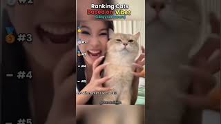 🐈 Ranking Cats Based on Vibes | Part 7 #ranking #funny #cat #pets #shorts