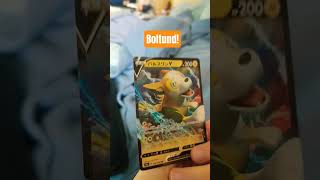 5 likes for boltund pls 🥺❤️ #boltund #pokemoncards #tcgcommunity #tcgpocket #tcgpokemon #cards