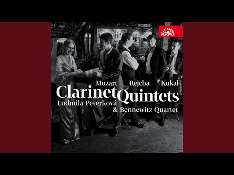 Clarinettino, Op. 11. Concertino for Clarinet and Strings - Allegro con moto - Tempo misterioso