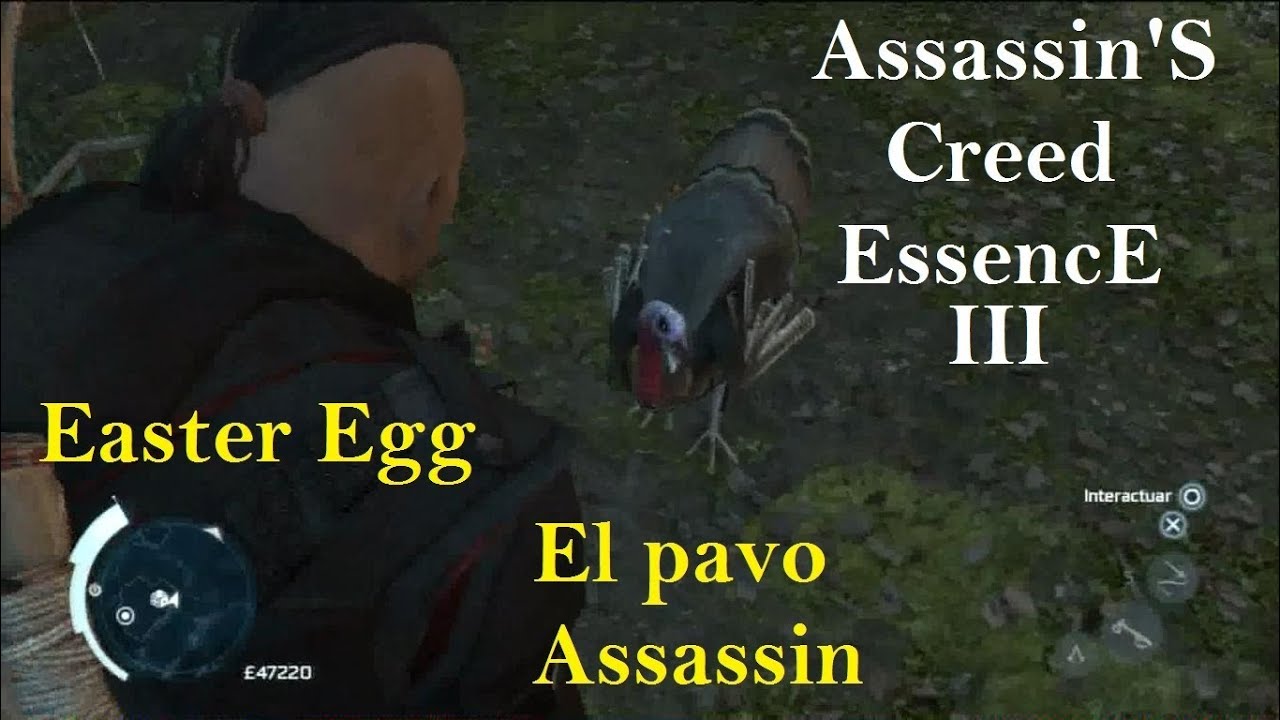 Assassin'S Creed 3 Easter Egg /Ep. 2 El Pavo Assessino/ ACEssencE