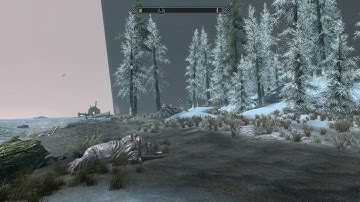 The Elder Scrolls V  Skyrim Special Edition: Game-breaking textures glitch (SOLVED)