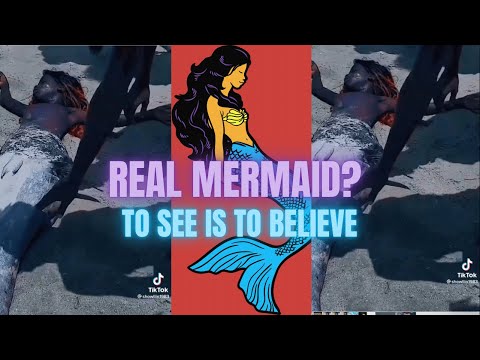 Scary Real Mermaid Still Breathing Realmermaid