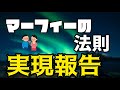 マーフィーの法則での実現報告