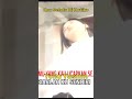 Yulia Yasmin - Kau Selalu Di Hatiku #Shorts #Music #MusicVideo