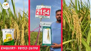 Jk 2154 hybrid paddy field demo farmer feedback 2025 
