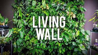 How We Built Our Tropical Living Wall