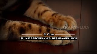 [FULL] Si Unik Bercorak Dan Si Besar Yang Lucu | SI OTAN (26/05/20)
