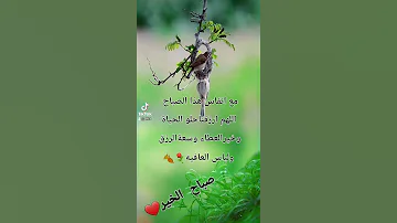 عبارات صباحيه جميله 