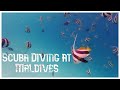 Scuba Diving at Fihalhohi Island, Maldives 2021 | Shot on DJI Osmo Action Camera