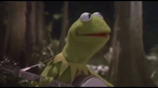 What Are Frogs?