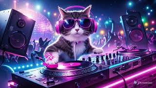 Dj Remix Banyu Langit  House Musik  Bass