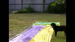 Chris Slip And Slid Fail
