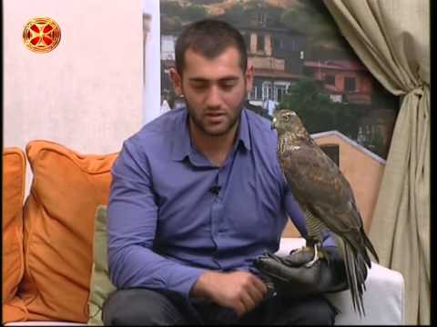 ბაზიერთა და მეიარაღეთა ფესტივალი ბაზალეთის კოშკებში