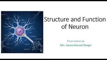 Structure and Functions of Neuron | Parts of Neuron | Apsara Katuwal Dangol