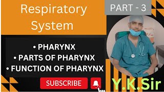 Respiratory System | Pharynx | Parts of the Pharynx | Functions of the Pharynx | Y.K. Sir