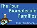 The Four  Biomolecule Families: Carbs, Lipids, Proteins, Nucleic Acids (Introductory Biochemistry)