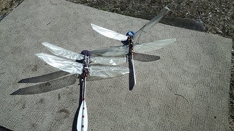 ＲＣ Dragonfly No,２ （トンボ型羽ばたき機２）　First flight