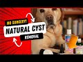 How to get rid of a dog cyst naturally