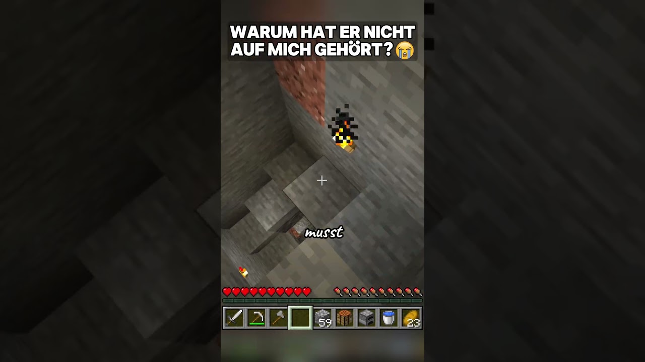 Warum hat er nicht auf mich gehört?😭 || Zora #fortnite #zora #gaming #shorts
