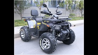 Распаковка и сборка Motoland Wild Track 200 X Обзор Мотолэнд 200 ATV
