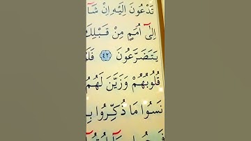 سورة الأنعام الأية 42 إلى 44 القارئ سعد الغامدي