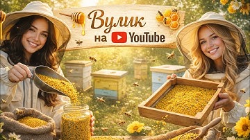 Girls at the Apiary — Behind the Scenes of Bee Pollen Harvesting