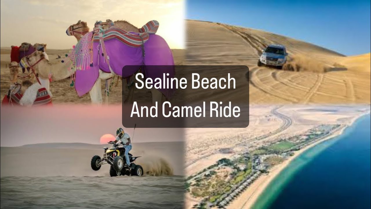 Bumpy Camel Ride Fun at the Sealine Beach and the Bumpy Camel Ride in Qatar!! - YouTube