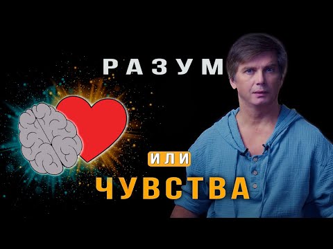 Что важнее: разум или чувства | Вселенская любовь глазами неверующего