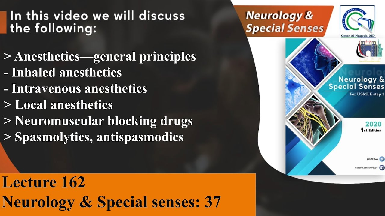 Inhaled, Intravenous and Local anesthetics Neuromuscular blocking drugs Antispasmodics YouTube