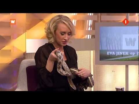Eva Jinek presenteert met slang om haar nek Eva op zondag 18 november 2012 bioloog Freek Vonk